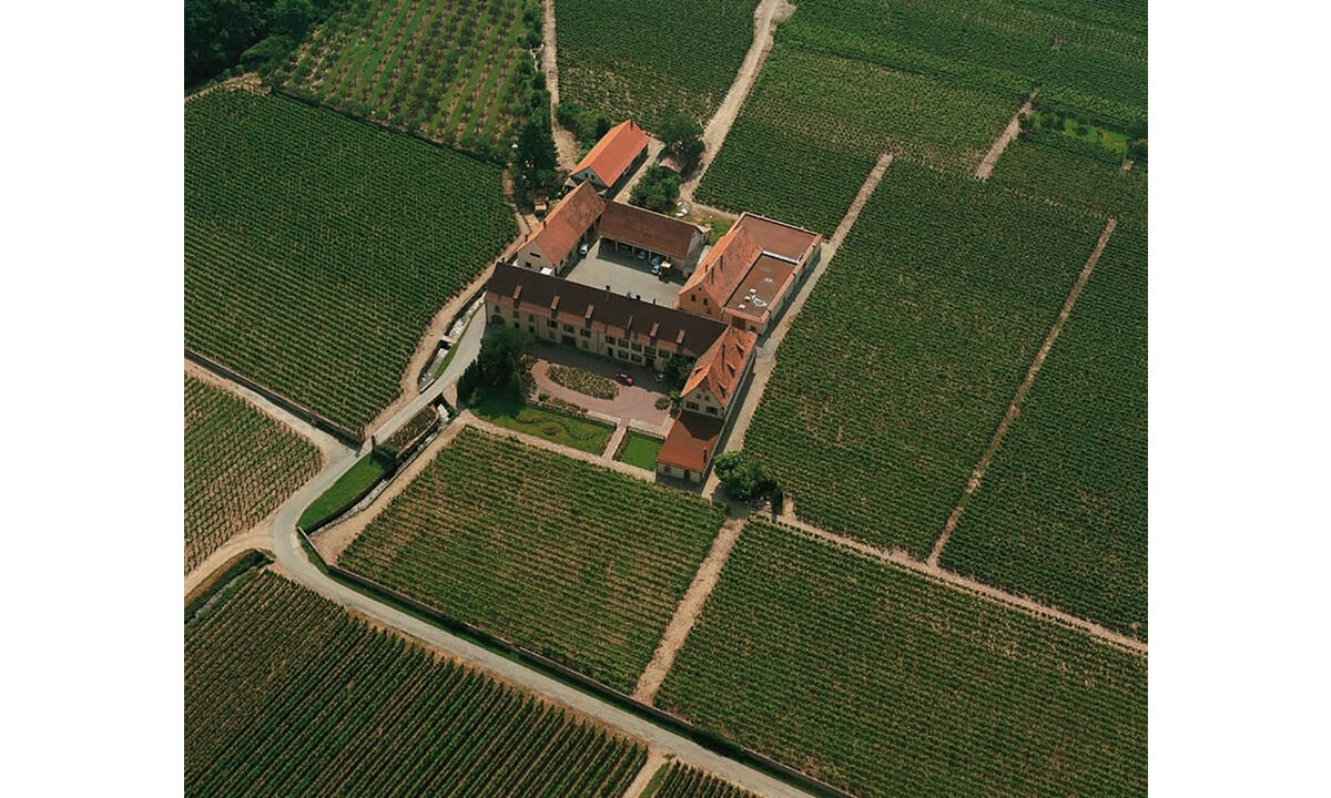 Domaine Weinbach Domaine Weinbach